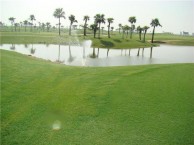 Heron Lake Golf Course & Resort